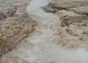 山西黄河壶口瀑布迎来今年最大洪峰：浊浪滔天中的自然奇观与安全守护